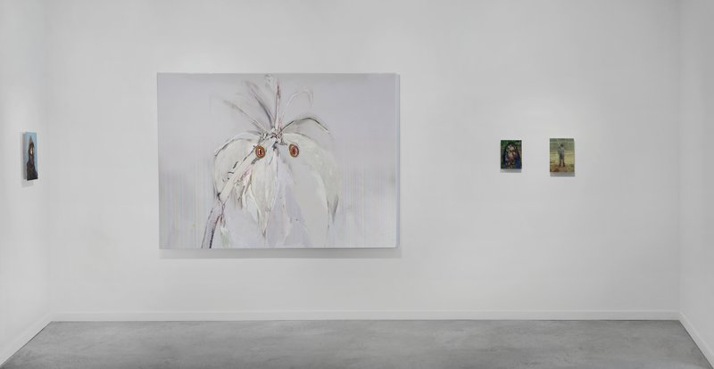 20120203 Alex Fischer Beyond The Fall O'Born Contemporary 08 Bluenose +Parrots +Myrrha +Artists Image documentation